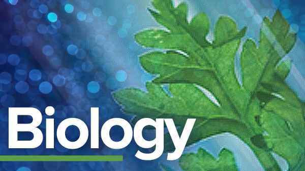 ib生物怎么提高?注意這些學習方法!